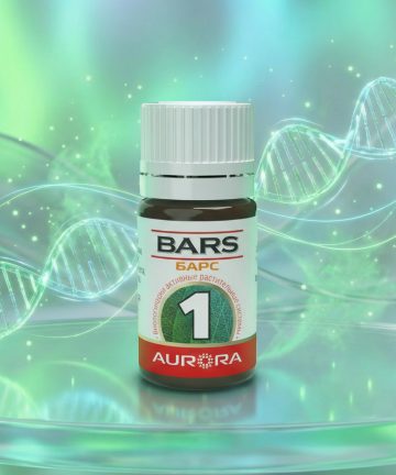 БАРС (BARS) -1