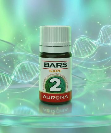 БАРС (BARS) -2