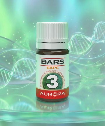 БАРС (BARS) -3