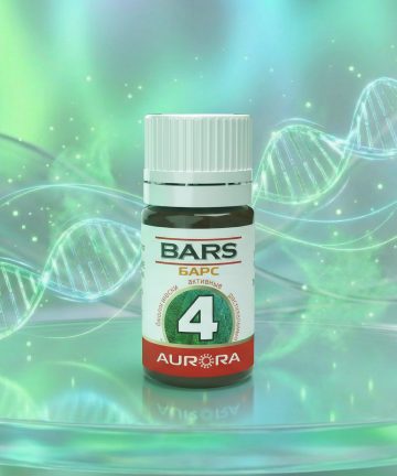 БАРС (BARS) -4