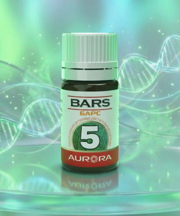 БАРС (BARS) -5
