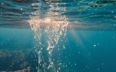 Когда вы в последний раз выбирали воду осознанно, а не по привычке?💧